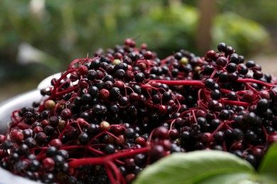 Photo of Pile of tasty elderberries (Sambucus) outdoors, closeup