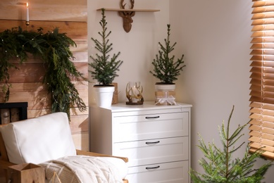 Beautiful room decorated for Christmas with potted firs. Interior design