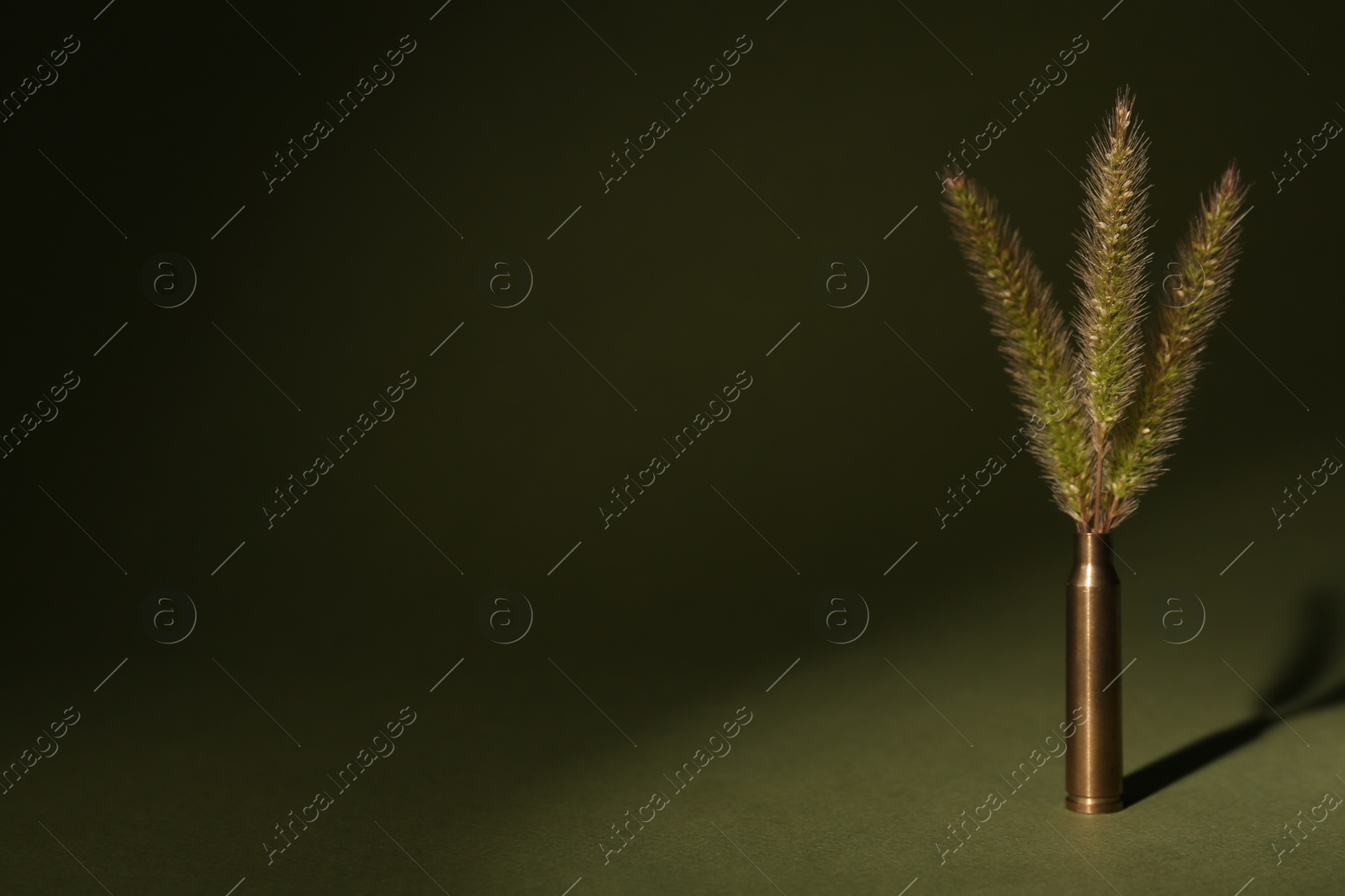 Photo of Bullet cartridge case and green foxtails on color background, space for text