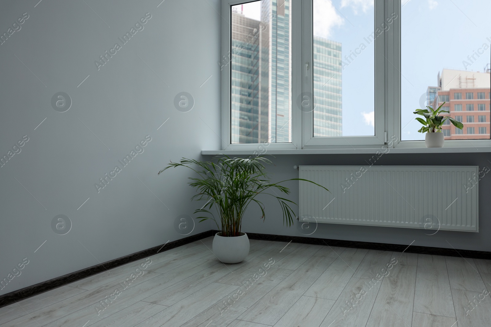 Photo of Empty office room with windows and potted houseplants