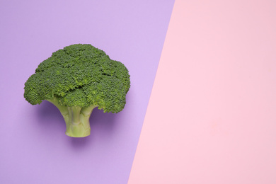 Photo of Fresh tasty broccoli on color background, top view. Space for text