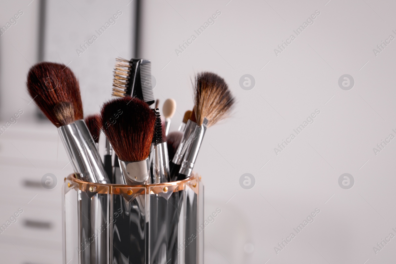 Photo of Set of professional brushes indoors, closeup. Space for text