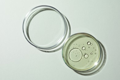 Photo of Petri dishes with essence on light grey background, top view