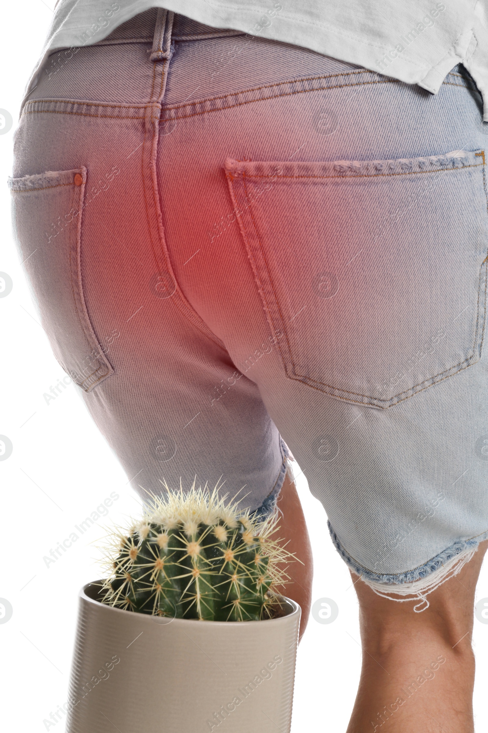 Image of Man sitting down on cactus against white background, closeup. Hemorrhoid concept