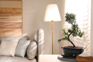 Japanese bonsai plant on table in living room, space for text. Creating zen atmosphere at home