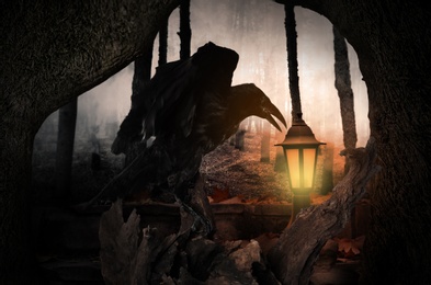 Image of Black crow on old tree in abandoned misty park. Fantasy world
