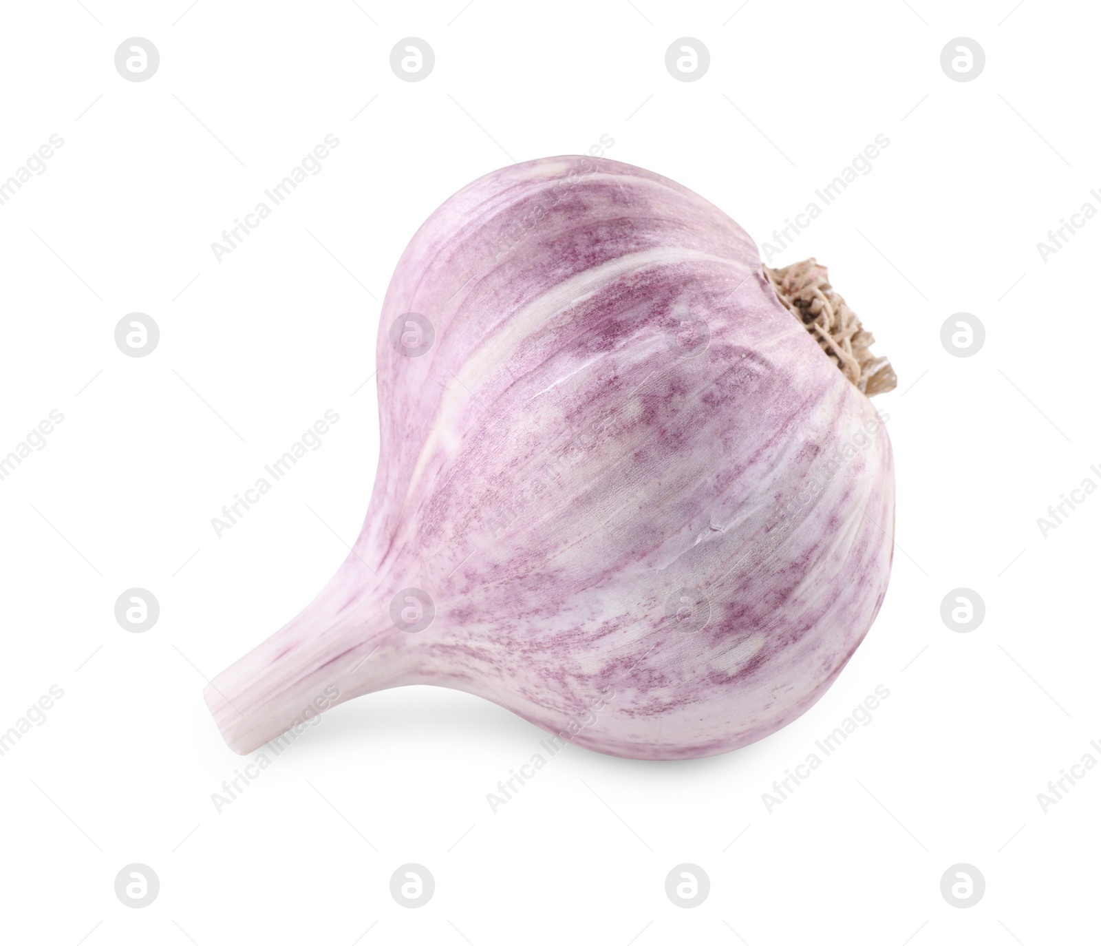 Photo of Fresh raw garlic head isolated on white