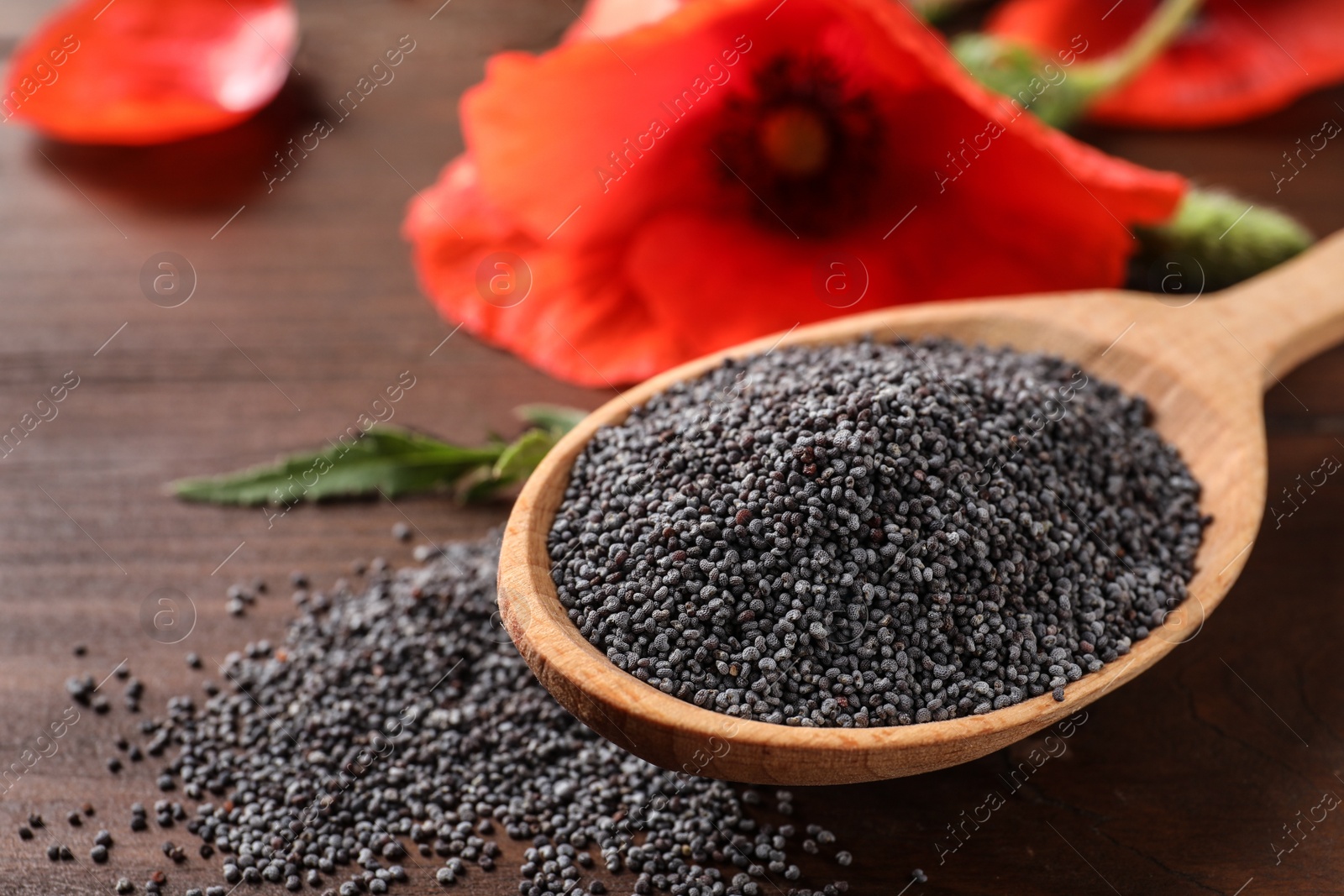 Photo of Spoon of poppy seeds and flower on wooden table, space for text