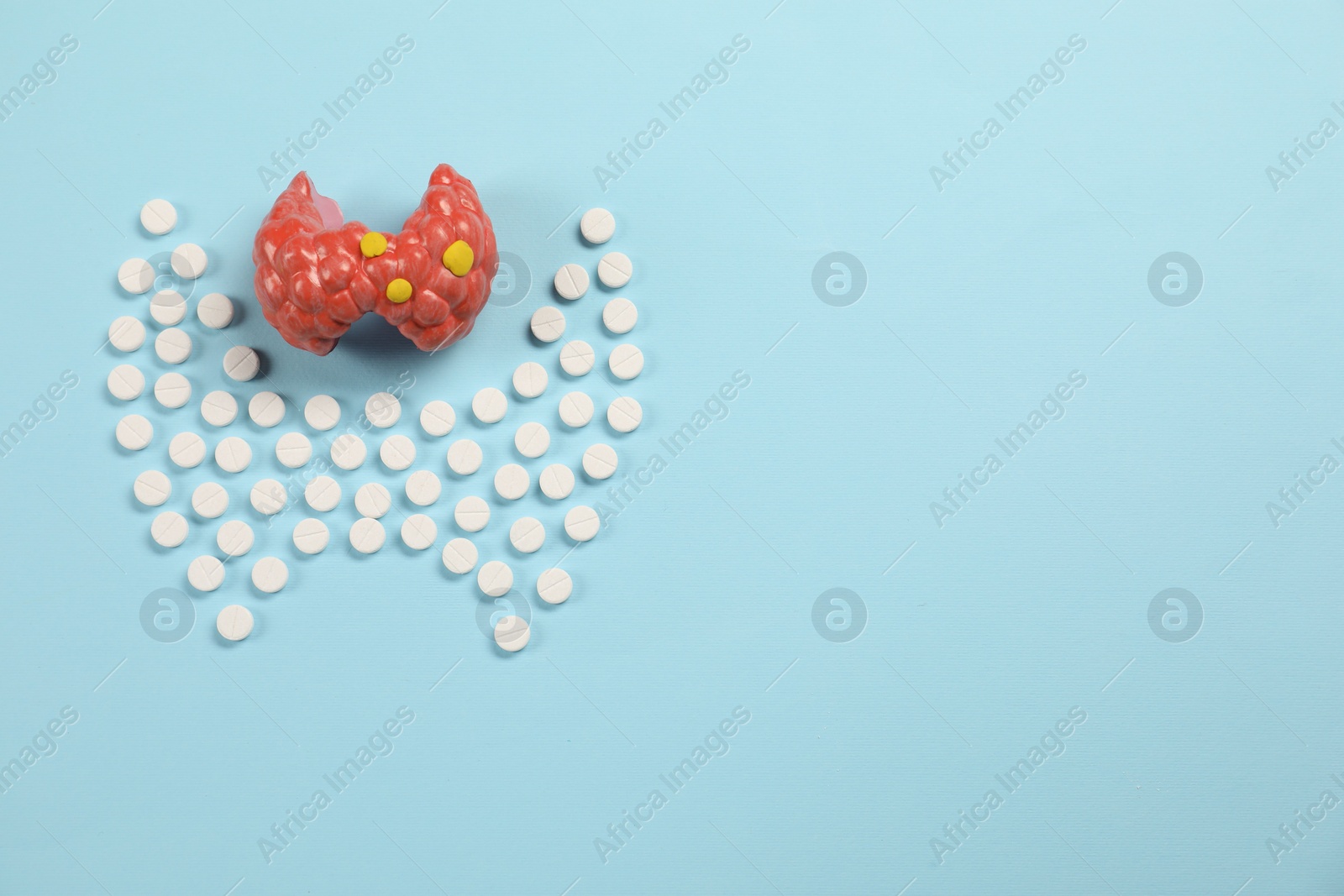 Photo of Endocrinology, Pills and model of thyroid gland on light blue background, flat lay. Space for text