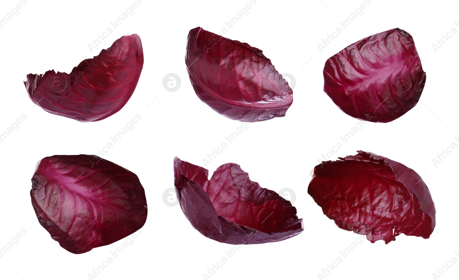 Image of Set of red cabbage leaves isolated on white