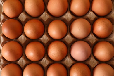 Raw chicken eggs in carton as background, top view