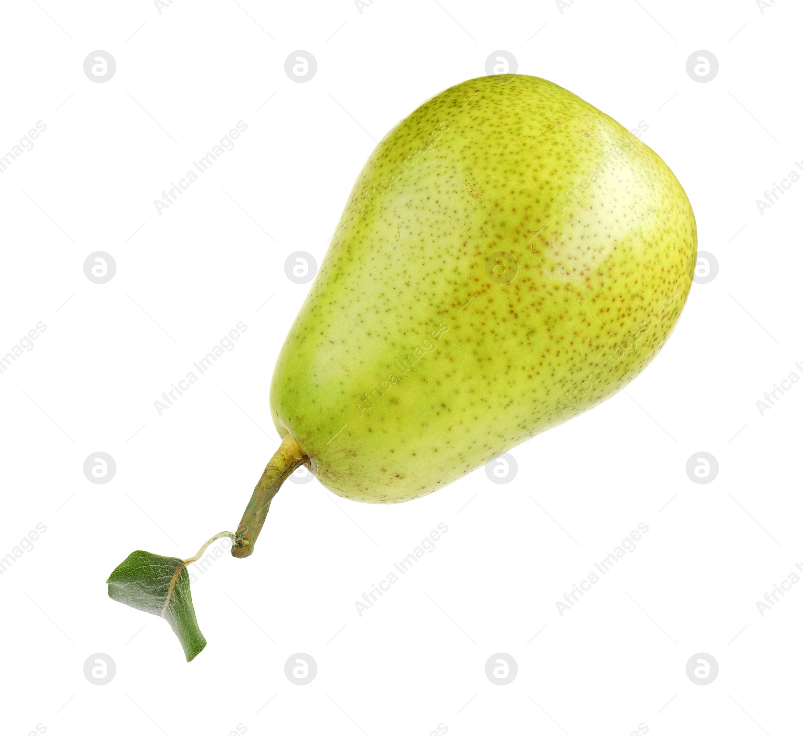 Photo of One ripe pear with leaf on white background