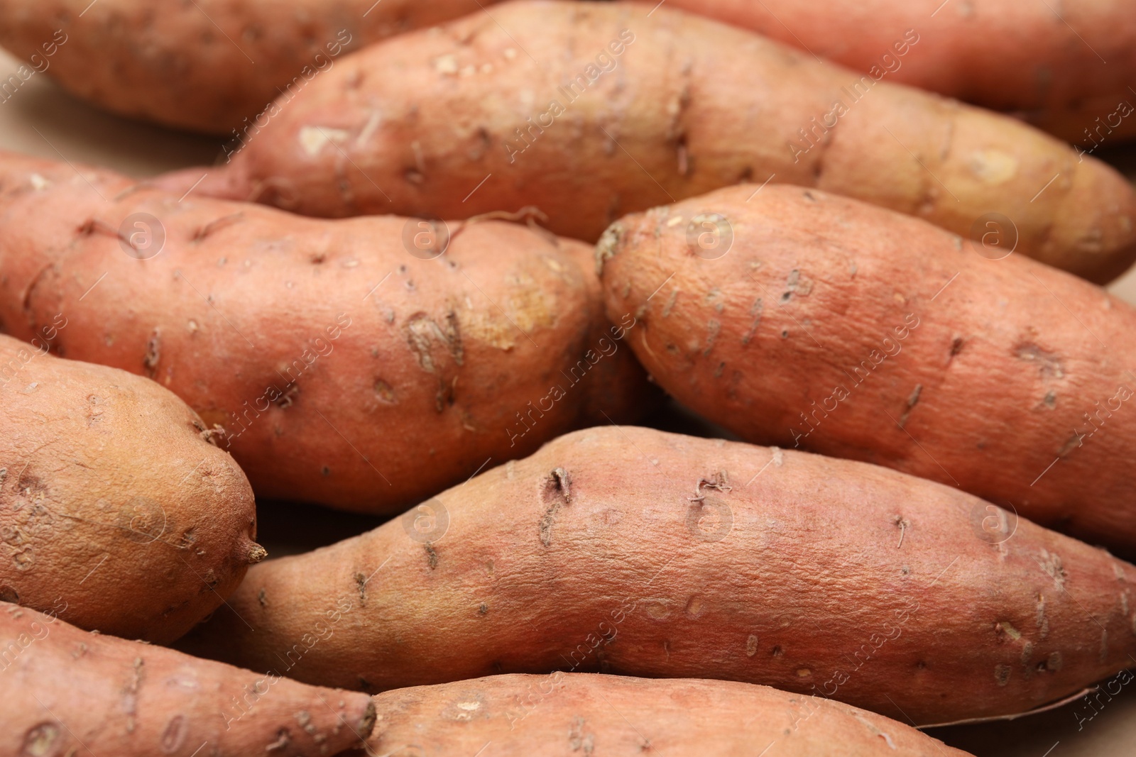 Photo of Whole ripe sweet potatoes as background, closeup