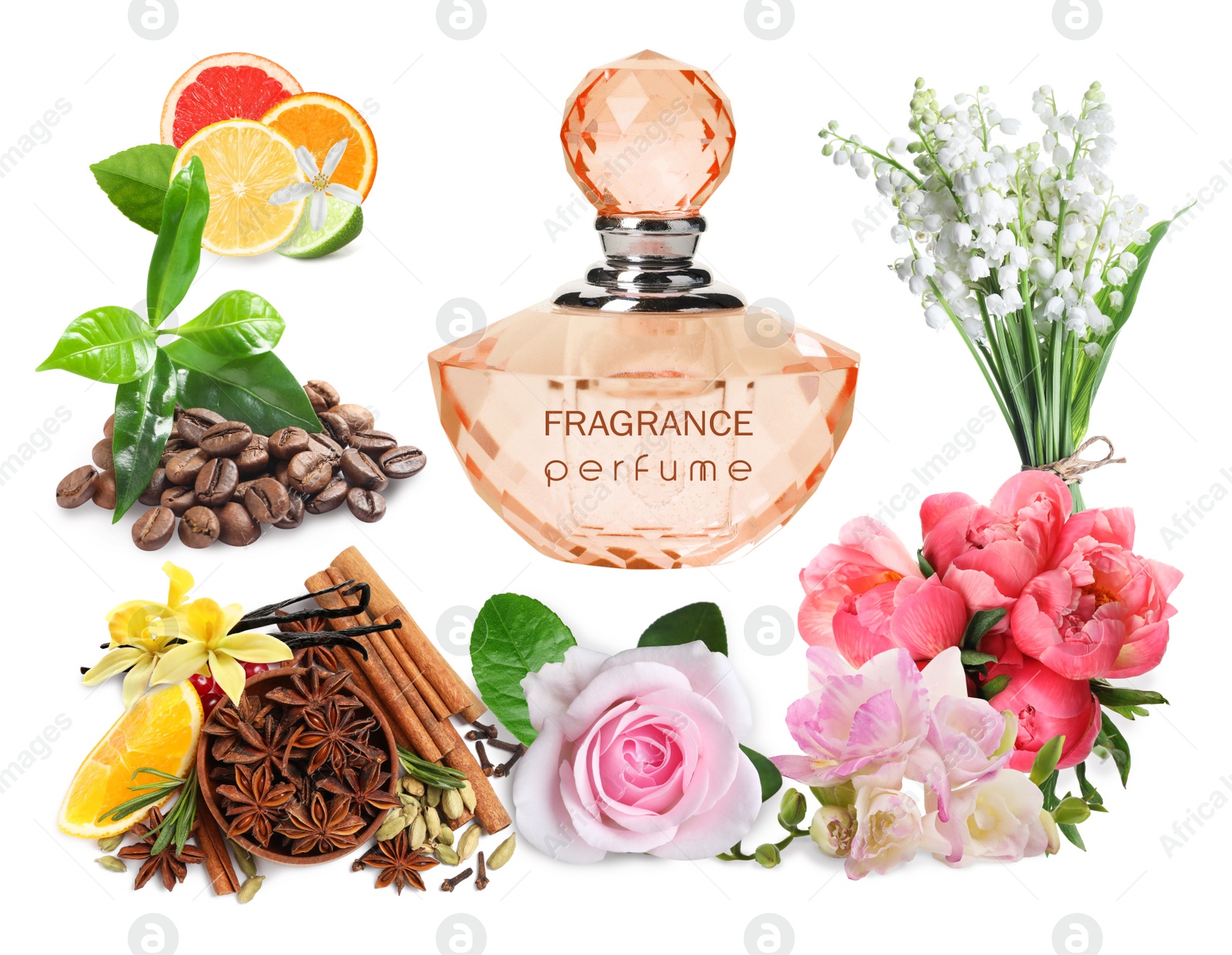 Image of Bottle of perfume, flowers and spices on white background, collage