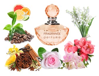 Bottle of perfume, flowers and spices on white background, collage