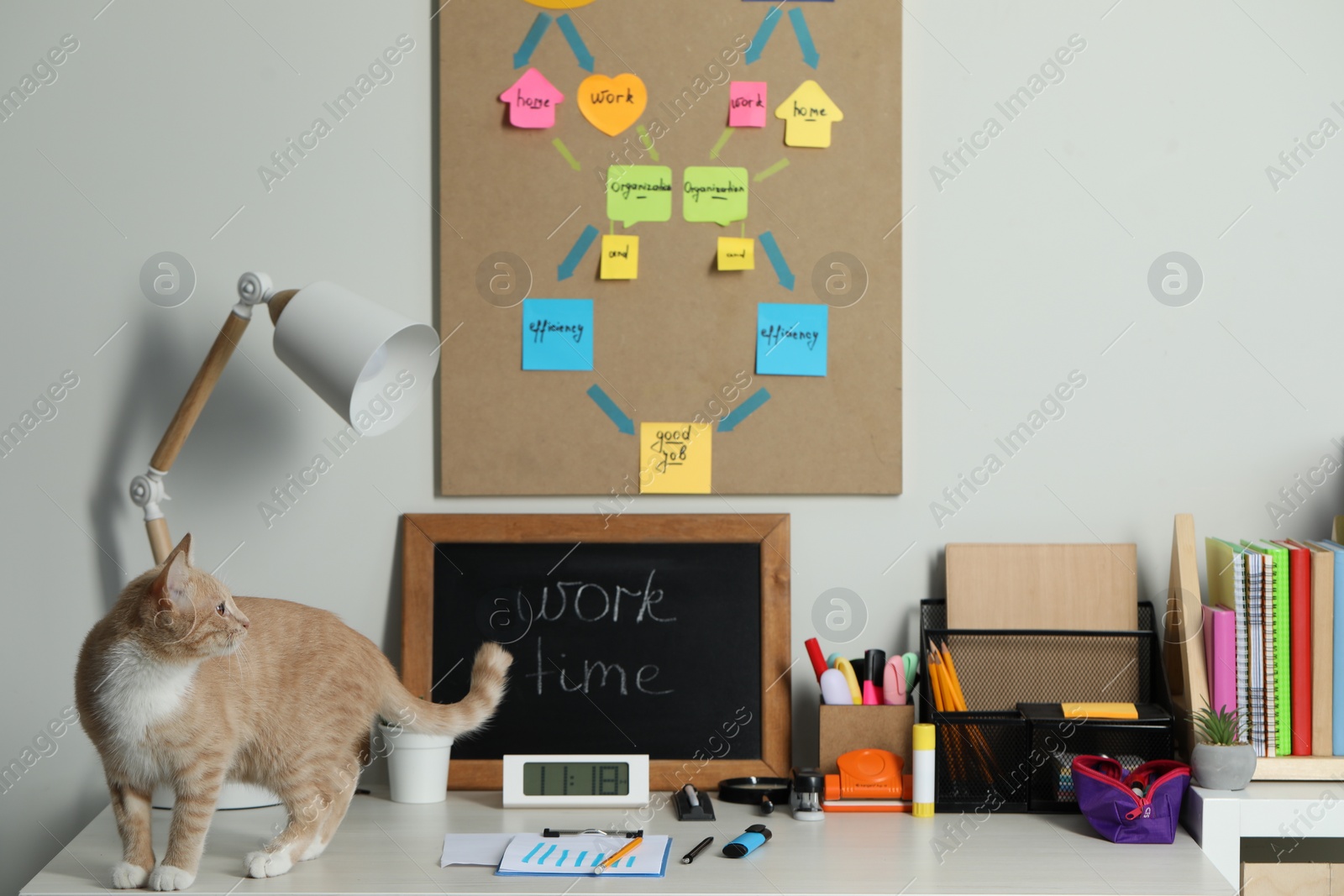 Photo of Business process planning and optimization. Workplace with cat, small blackboard, colorful paper notes and other stationery on white wooden table