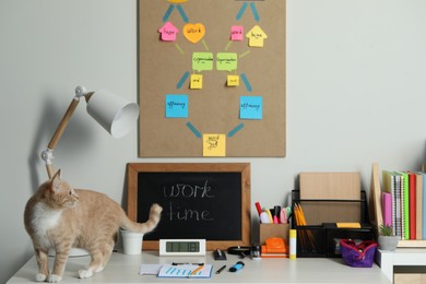 Business process planning and optimization. Workplace with cat, small blackboard, colorful paper notes and other stationery on white wooden table