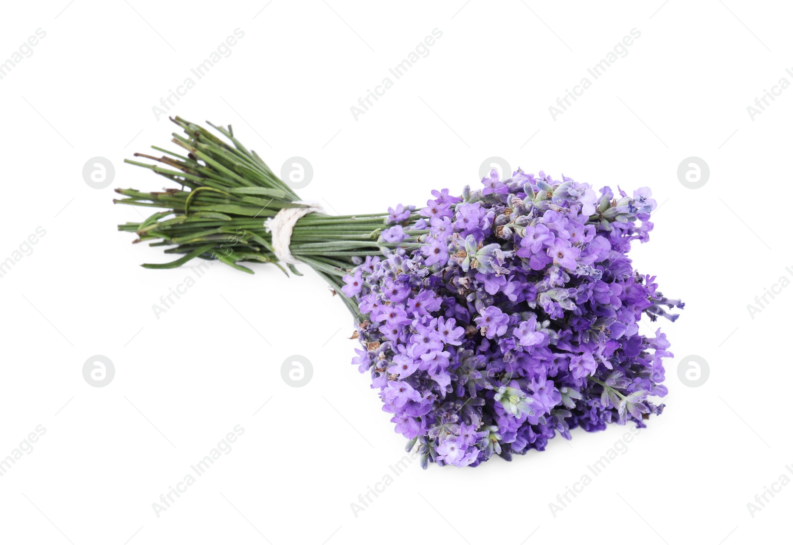 Photo of Bouquet of beautiful lavender flowers isolated on white