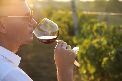 Photo of Handsome man tasting wine in vineyard on sunny day, closeup