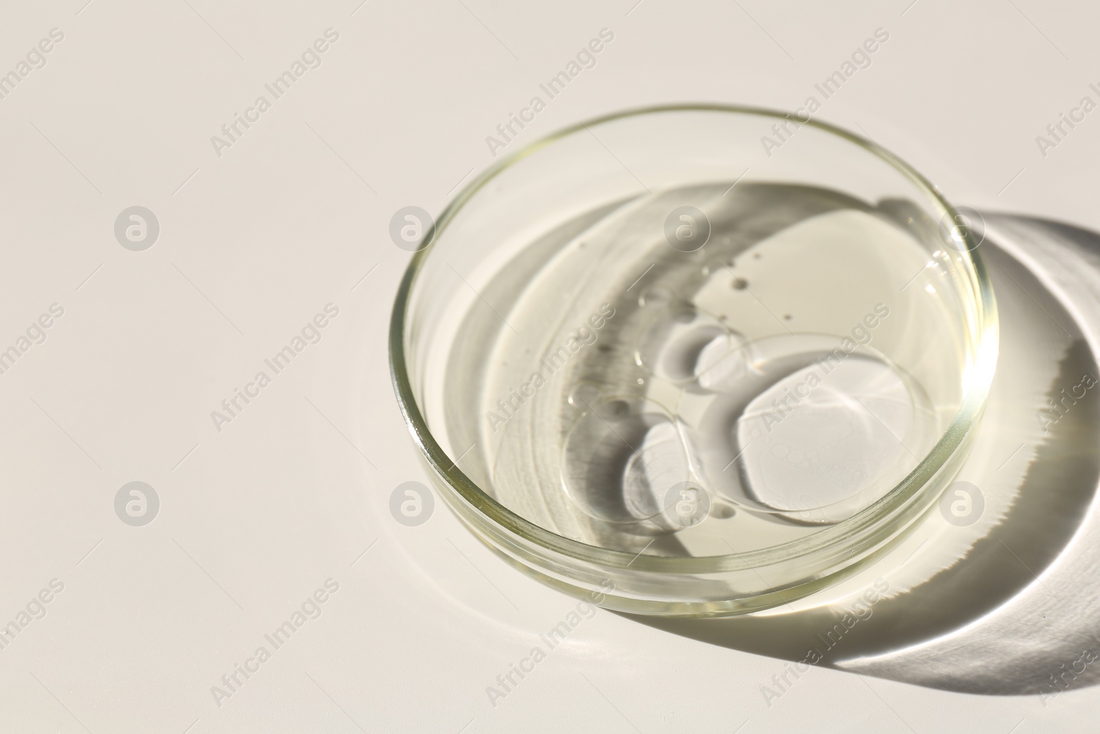 Photo of Petri dish with liquid sample on light background, closeup. Space for text