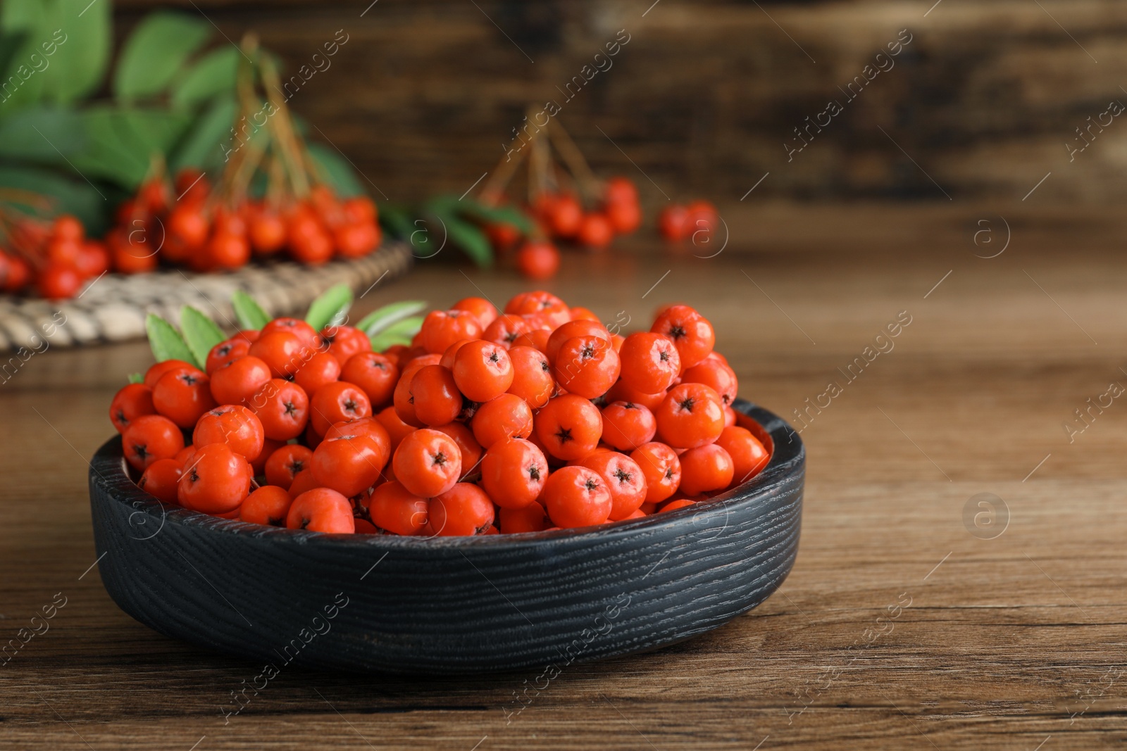 Photo of Plate with fresh ripe rowan berries on wooden table, space for text