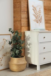 Photo of Chest of drawers, beautiful paintings and potted eucalyptus plant in room