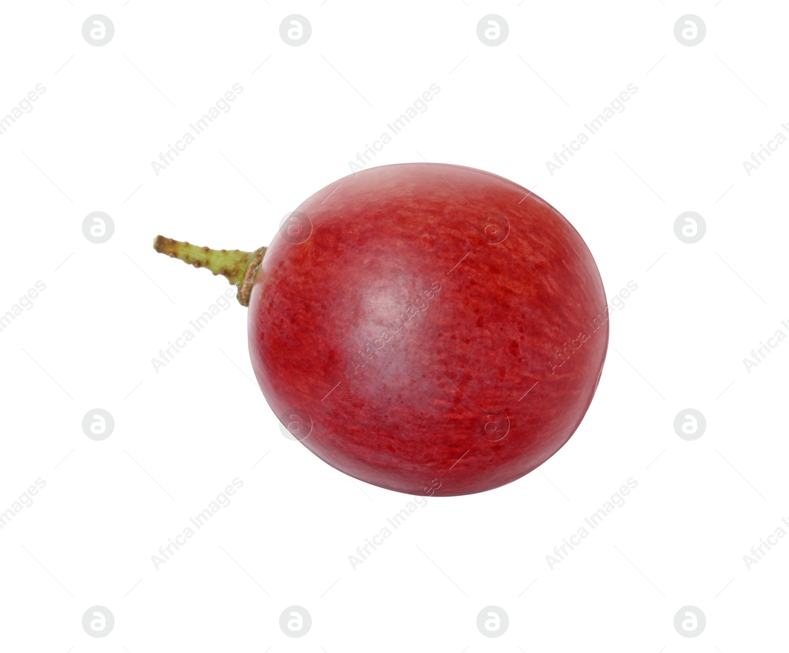 Photo of One ripe red grape isolated on white