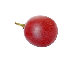 One ripe red grape isolated on white