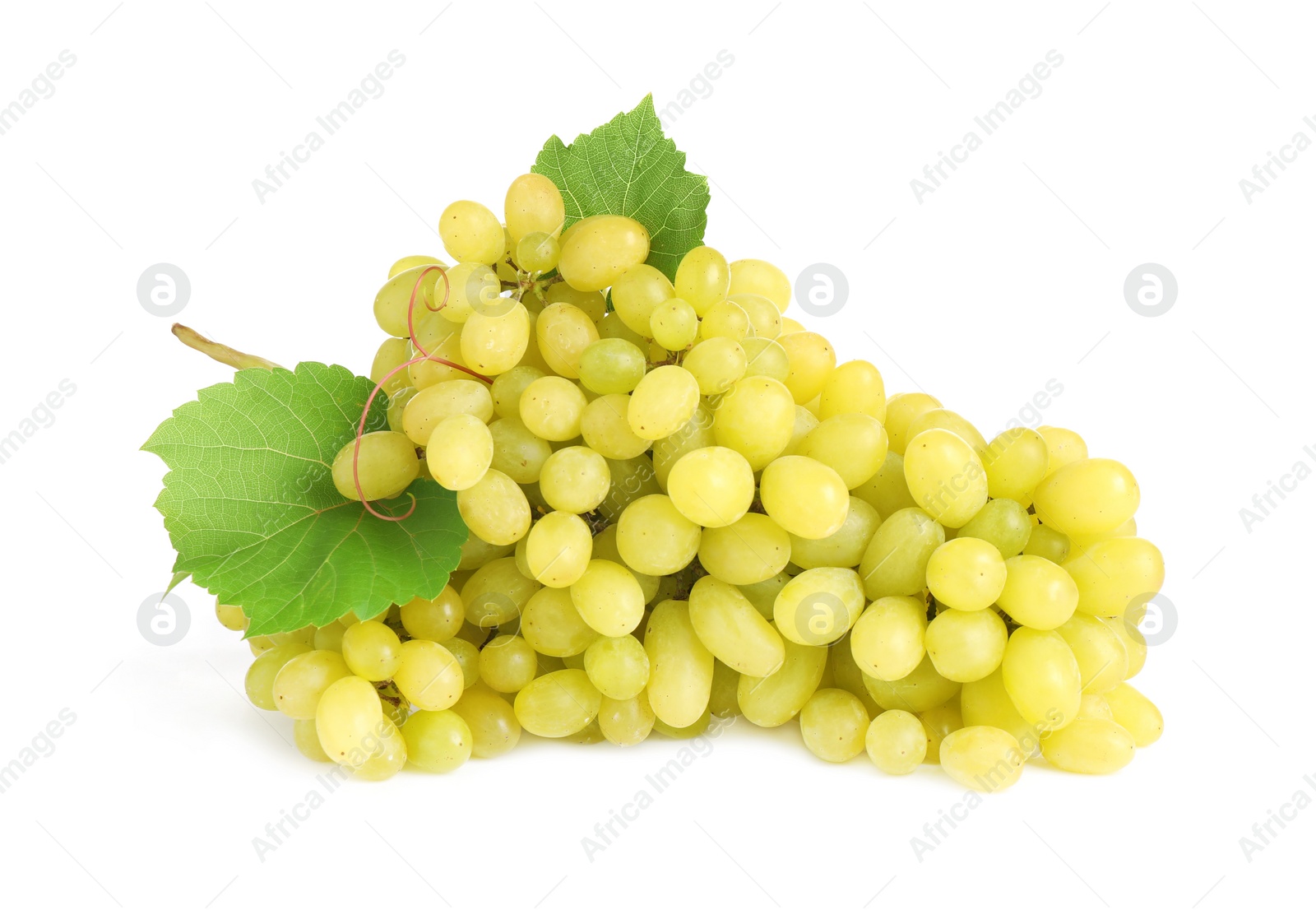 Photo of Bunch of fresh ripe juicy grapes isolated on white