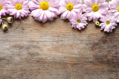 Photo of Beautiful chamomile flowers on wooden background, flat lay with space for text