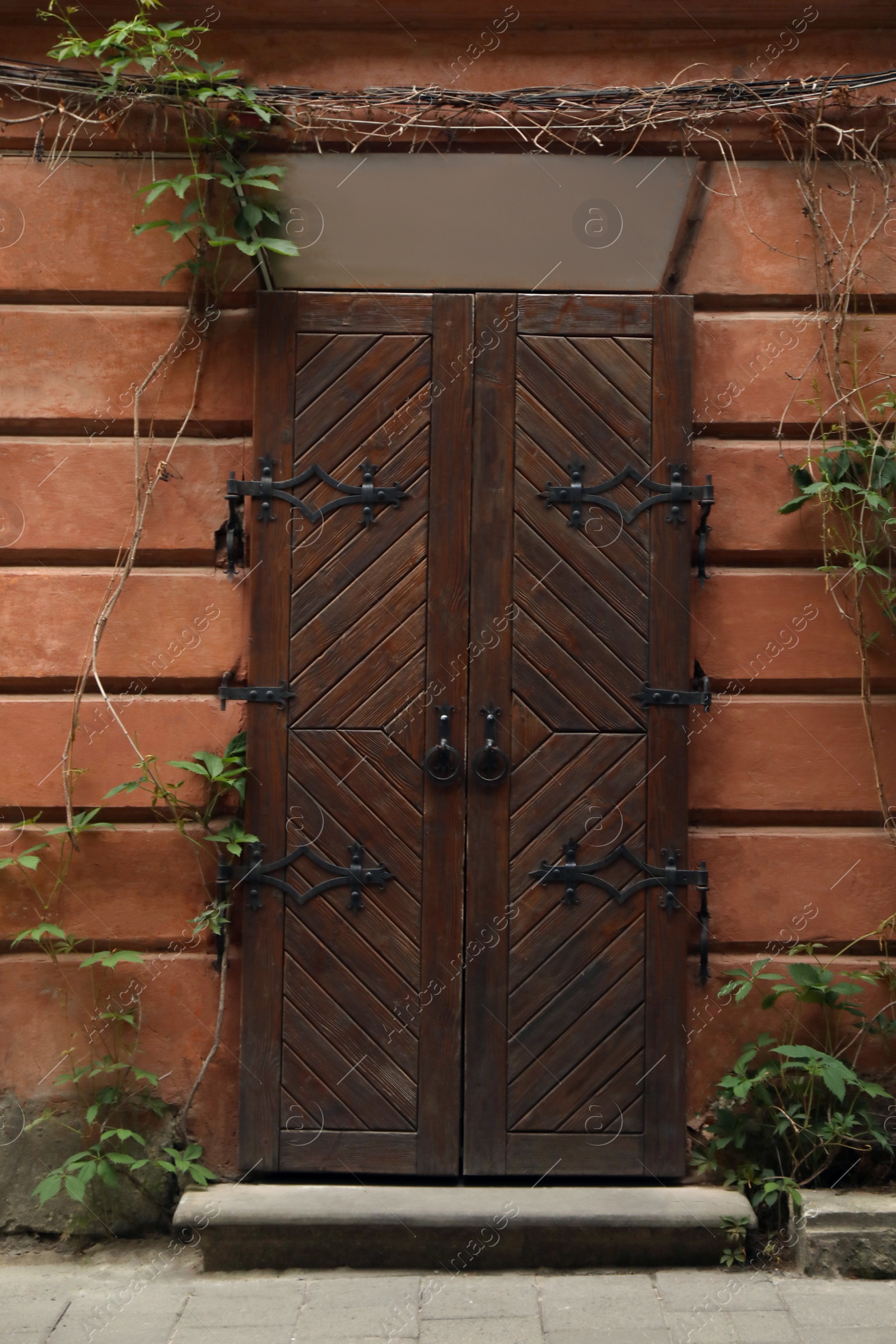 Photo of View of building with vintage wooden door and climbing plant. Exterior design