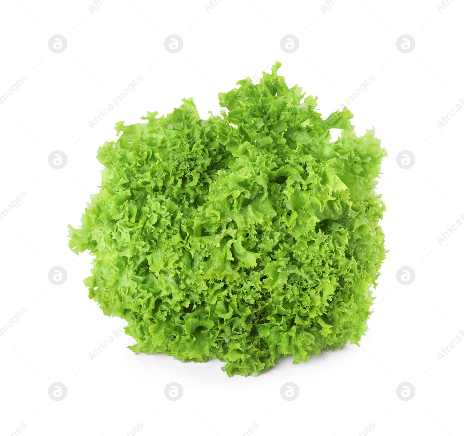 Photo of Fresh lettuce isolated on white. Salad greens