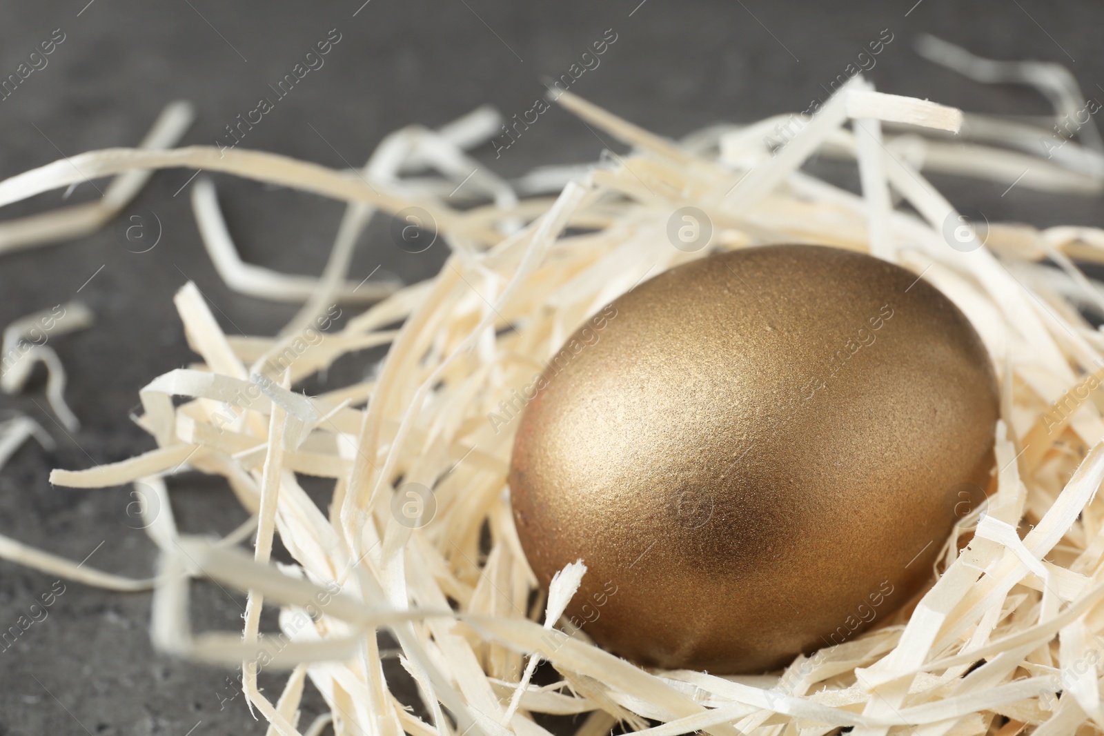 Photo of Golden egg in nest on grey background, closeup