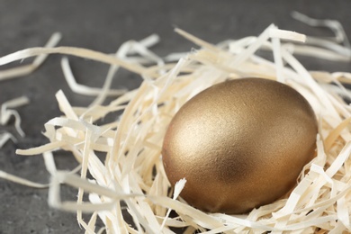 Photo of Golden egg in nest on grey background, closeup