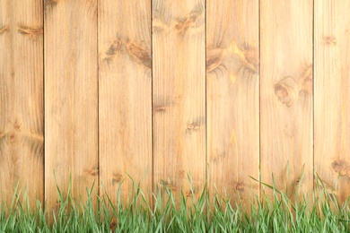 Photo of Fresh green grass near wooden fence. Space for text