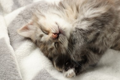 Photo of Cute kitten sleeping on soft blanket. Baby animal