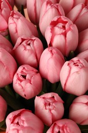 Photo of Bouquet of beautiful pink tulips as background, above view