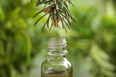 Photo of Fir branch over bottle of essential oil on blurred background, closeup