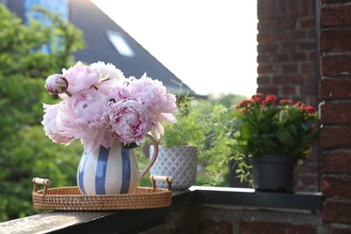 Balcony garden. Different plants growing on railings outdoors