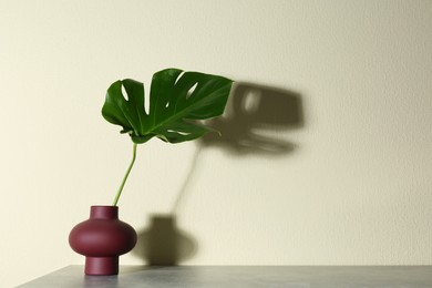 Green monstera leaf in vase on grey table against beige background. Space for text