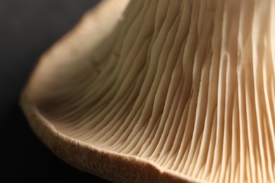 Photo of Fresh oyster mushroom on black table, macro view