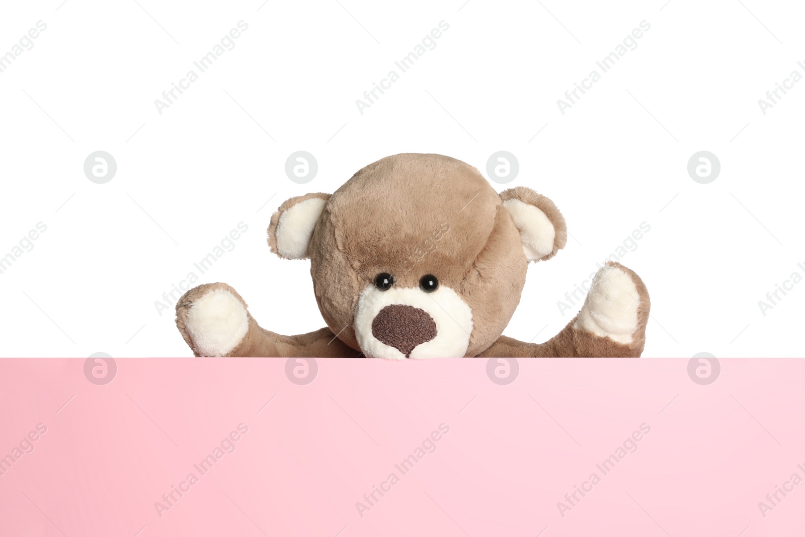 Photo of Cute teddy bear standing behind blank card isolated on white, space for text