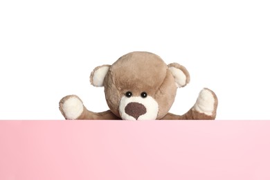 Cute teddy bear standing behind blank card isolated on white, space for text