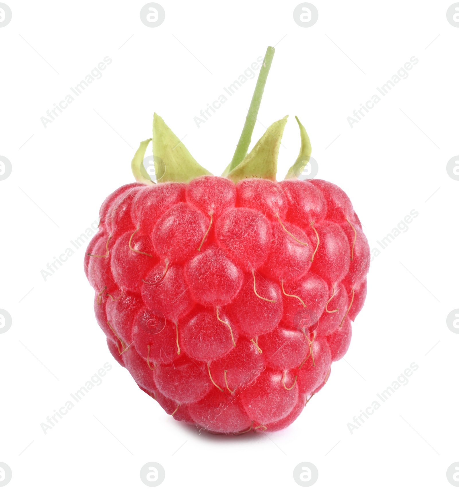 Photo of One tasty ripe raspberry isolated on white