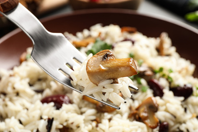 Photo of Fork with delicious rice pilaf over plate, closeup