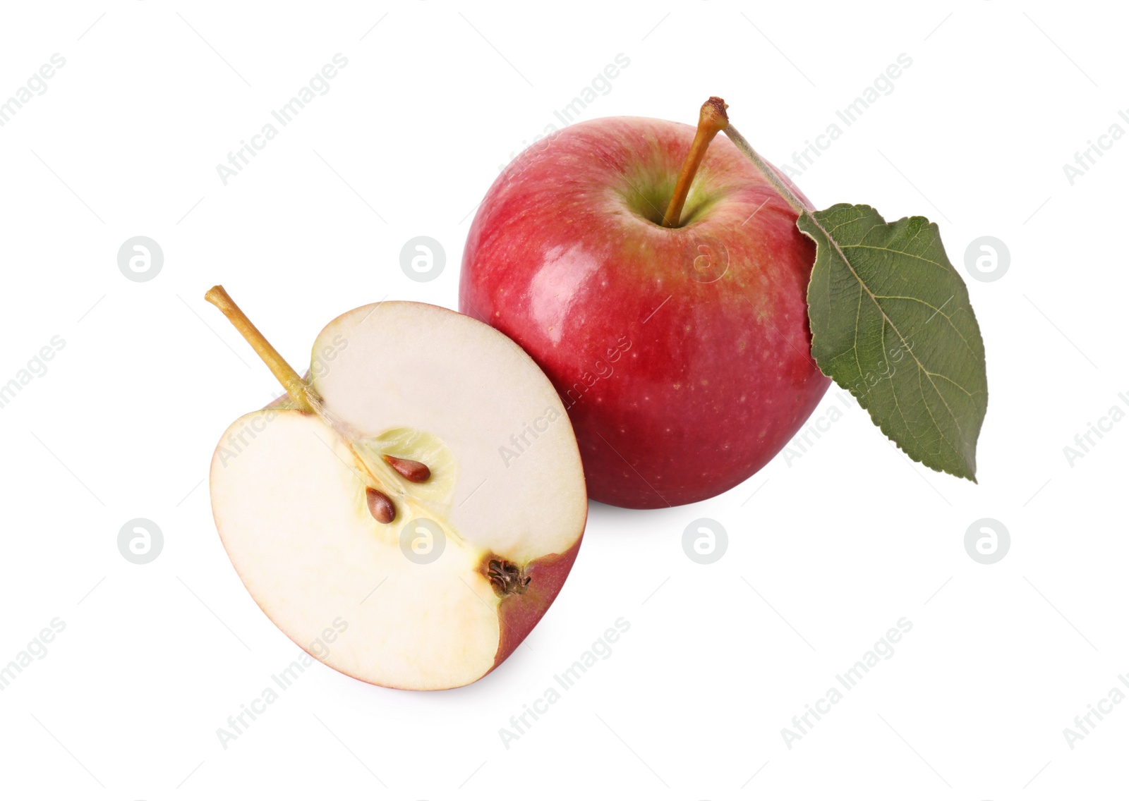 Photo of Whole and cut red apples isolated on white