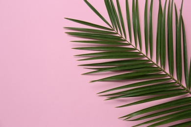 Photo of Beautiful tropical leaf on color background, top view