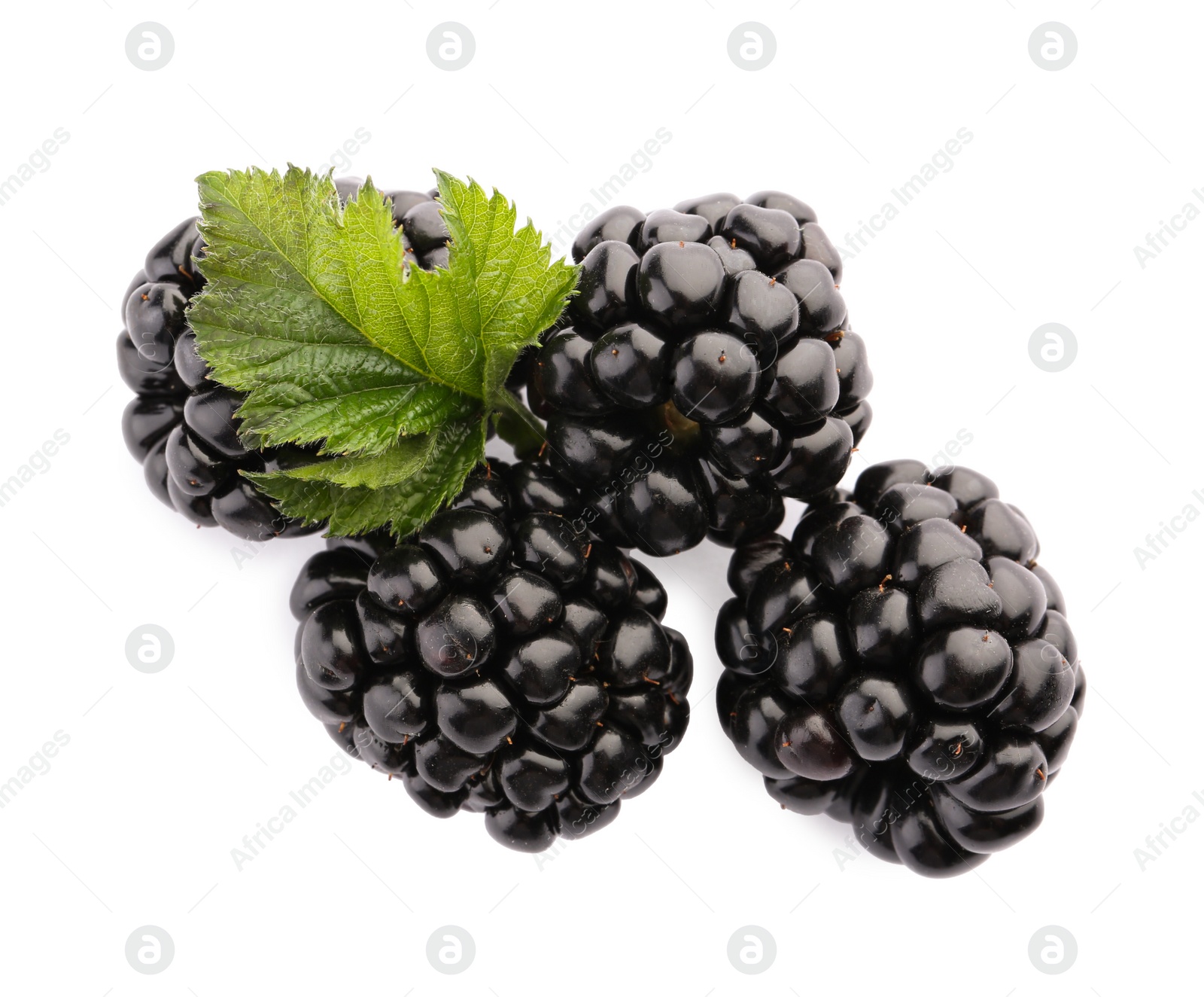 Photo of Tasty ripe blackberries and leaf on white background, top view