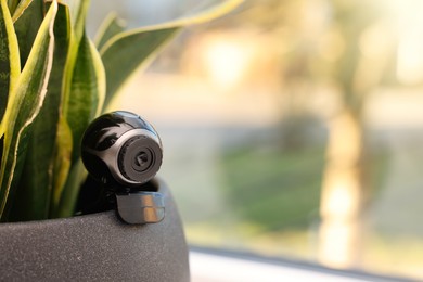 Camera hidden in flowerpot with houseplant on windowsill. Space for text
