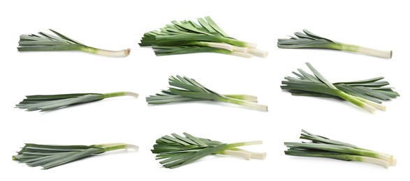 Set with fresh raw leeks on white background. Banner design